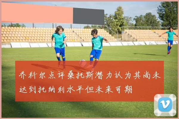 乔科尔点评桑托斯潜力认为其尚未达到托纳利水平但未来可期